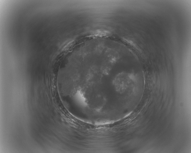 X0000062151399200512161222