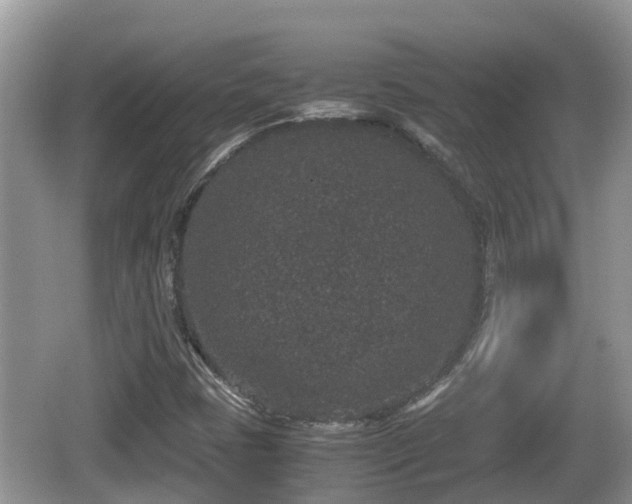 X0000062151401200512161222