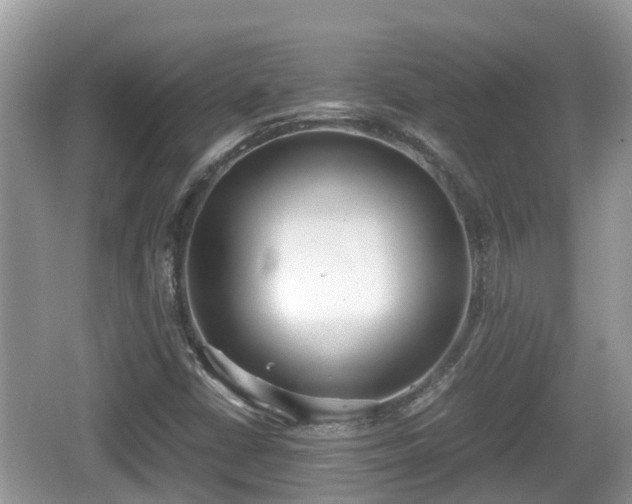 X0000062151402200512161222