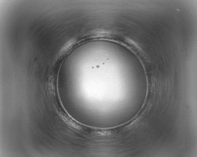 X0000062151403200512161222