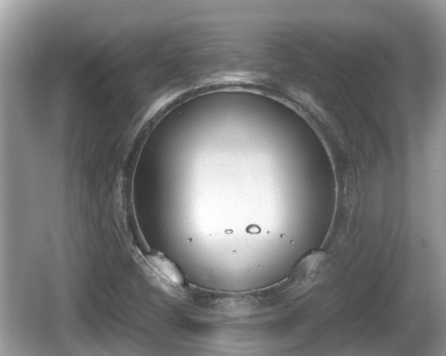 X0000062151404200512161222