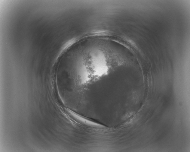 X0000062151405200512161222