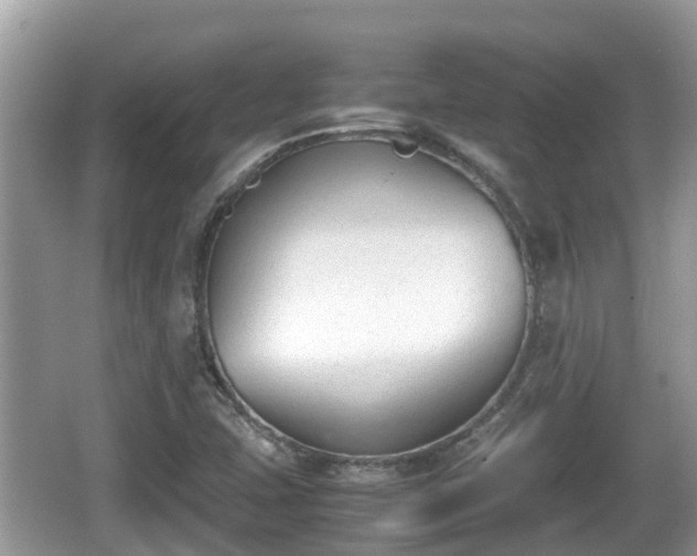 X0000062151407200512161222