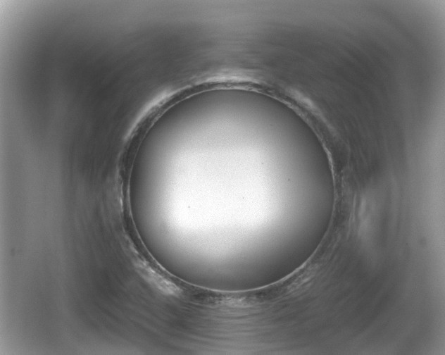 X0000062151408200512161222