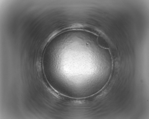 X0000062151409200512161222