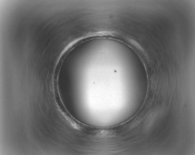 X0000062151412200512161222