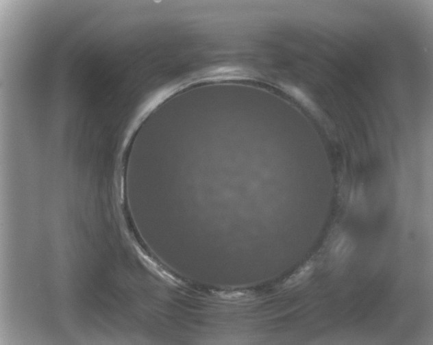 X0000062151413200512161222