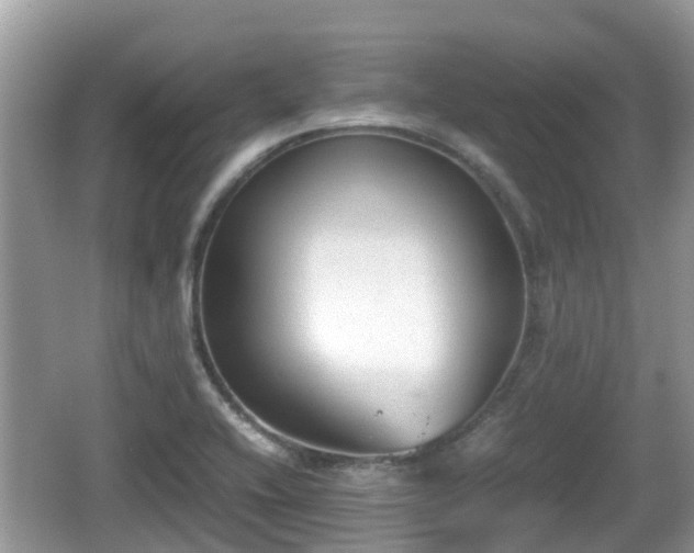 X0000062151416200512161222