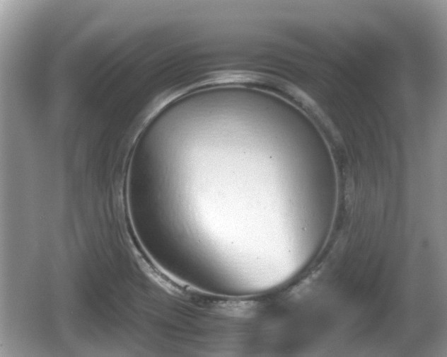 X0000062151417200512161222