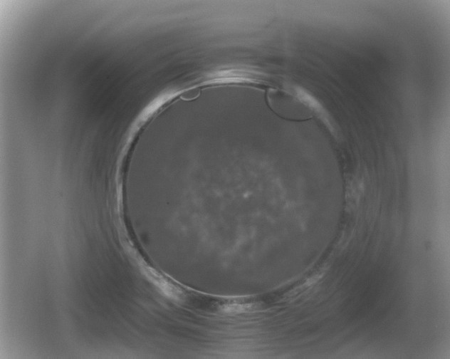 X0000062151419200512161222