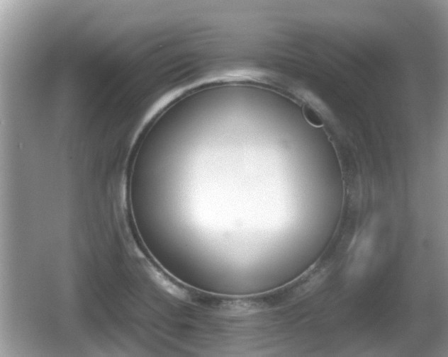 X0000062151420200512161222