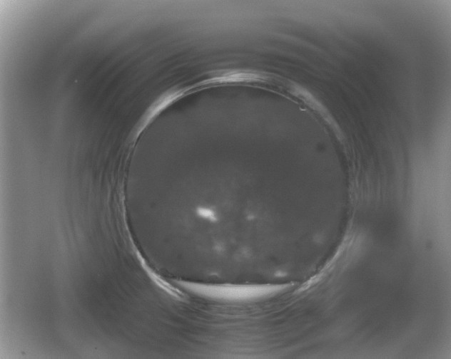 X0000062151425200512161222