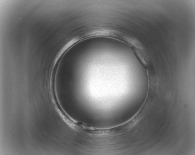 X0000062151426200512161222