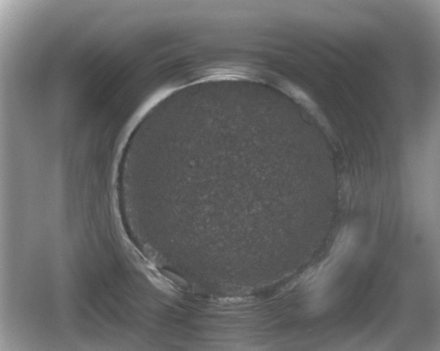 X0000062151427200512161222