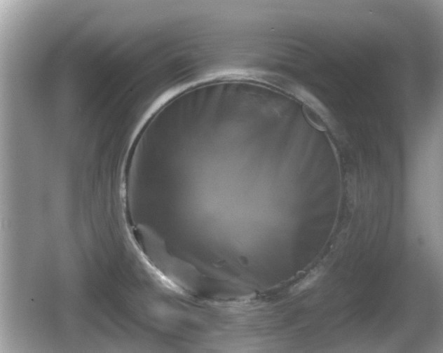 X0000062151428200512161222