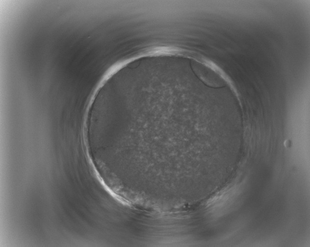 X0000062151429200512161222