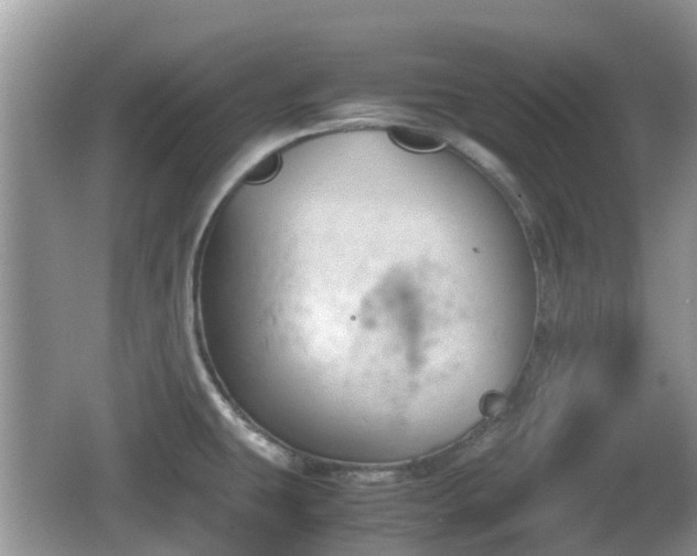 X0000062151431200512161222