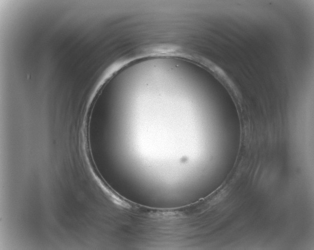 X0000062151432200512161222