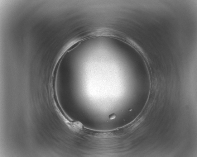 X0000062151434200512161222