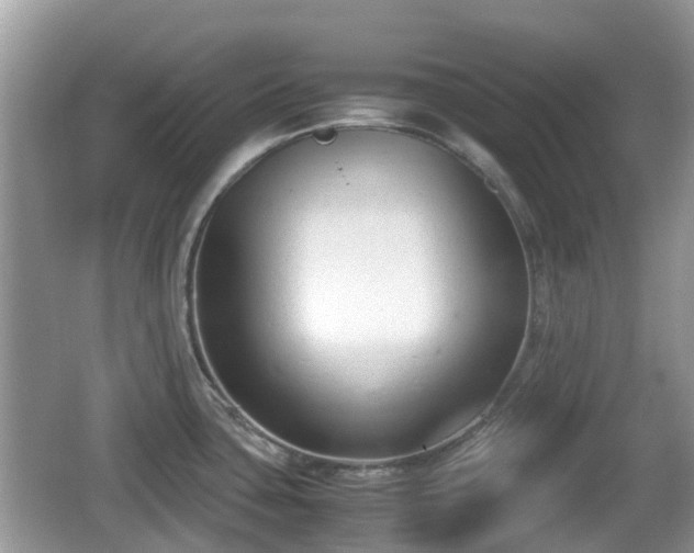 X0000062151435200512161222