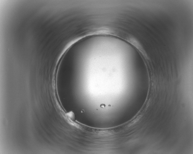 X0000062151436200512161222