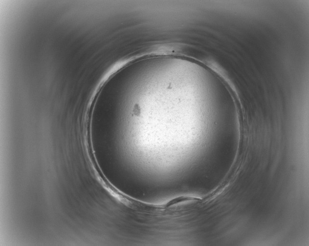 X0000062151437200512161222