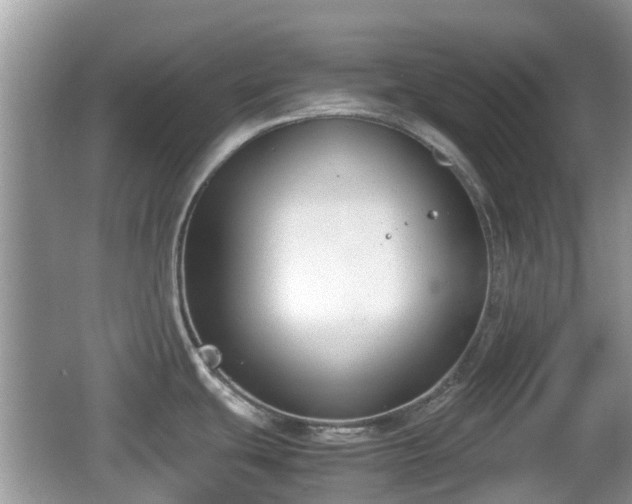 X0000062151439200512161222