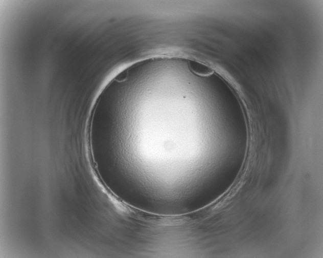 X0000062151440200512161222