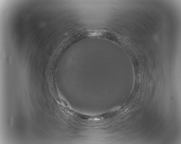 X0000062151441200512161222