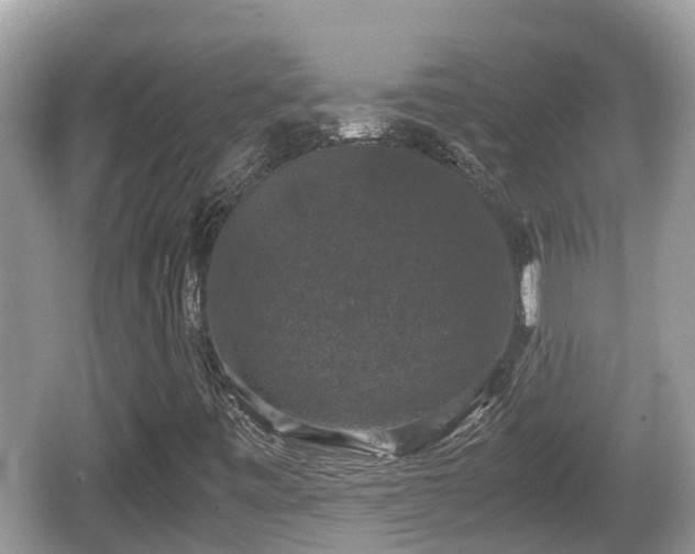 X0000062151443200512161221