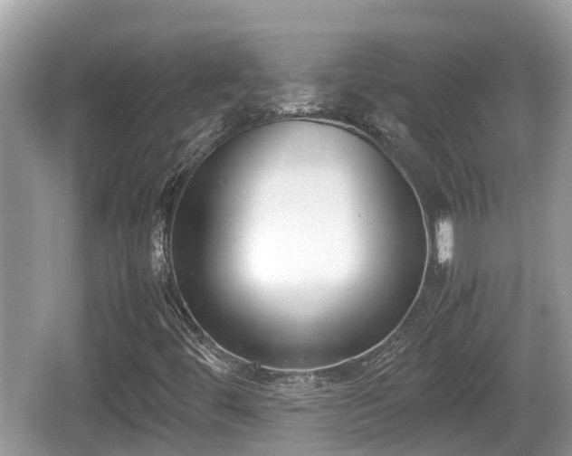 X0000062151444200512161221