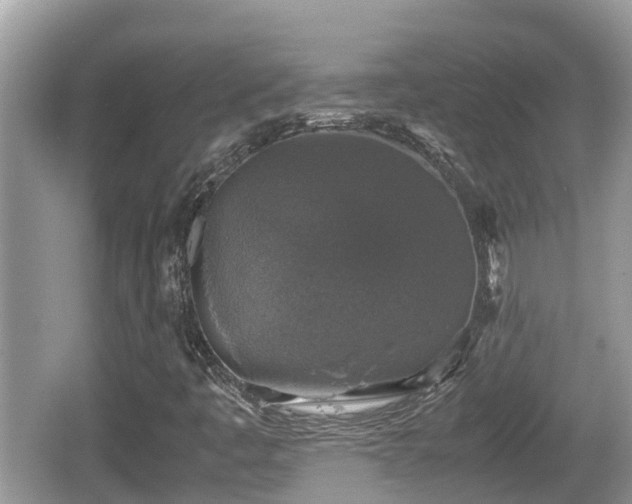 X0000062151445200512161221