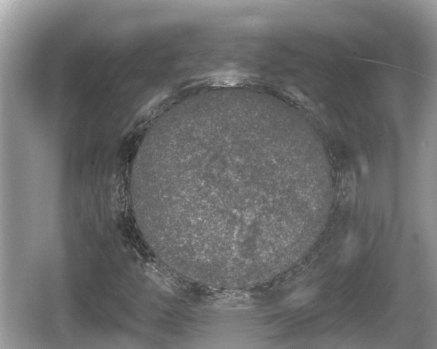 X0000062151446200512161221