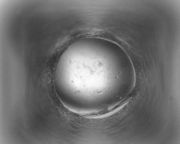 X0000062151447200512161221