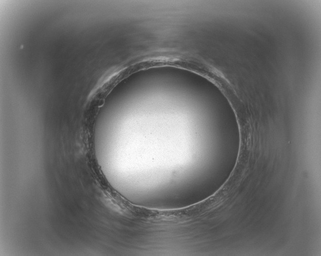 X0000062151448200512161221