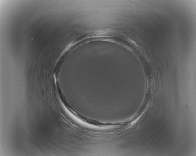 X0000062151449200512161221