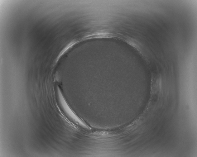 X0000062151450200512161221