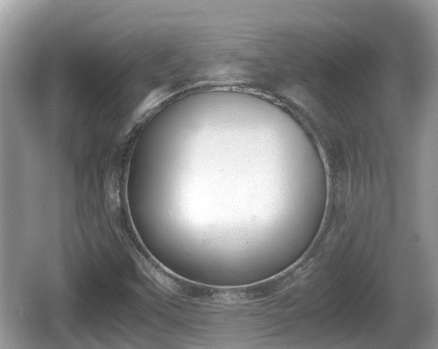 X0000062151451200512161221