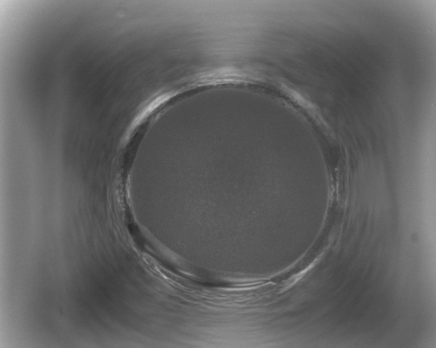 X0000062151453200512161221