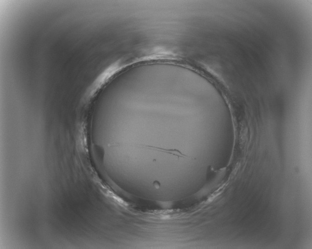 X0000062151455200512161221