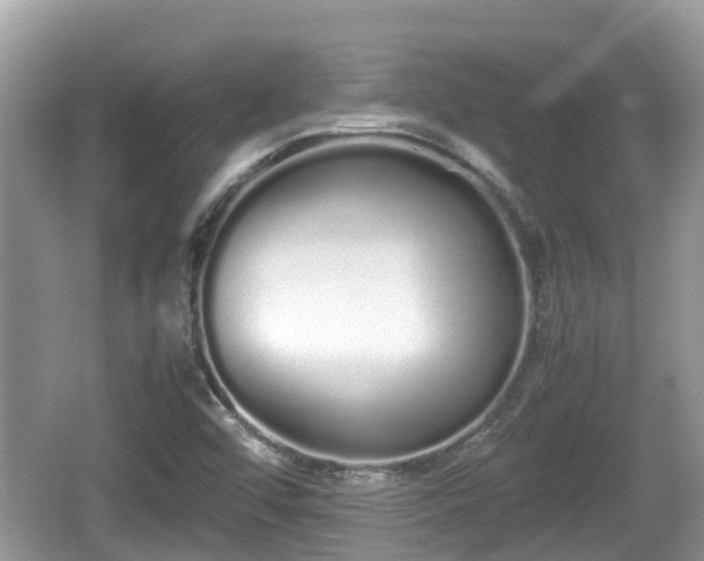 X0000062151456200512161221