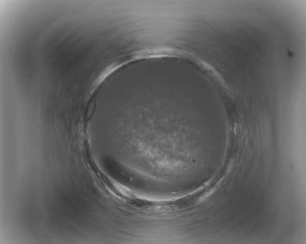 X0000062151457200512161221