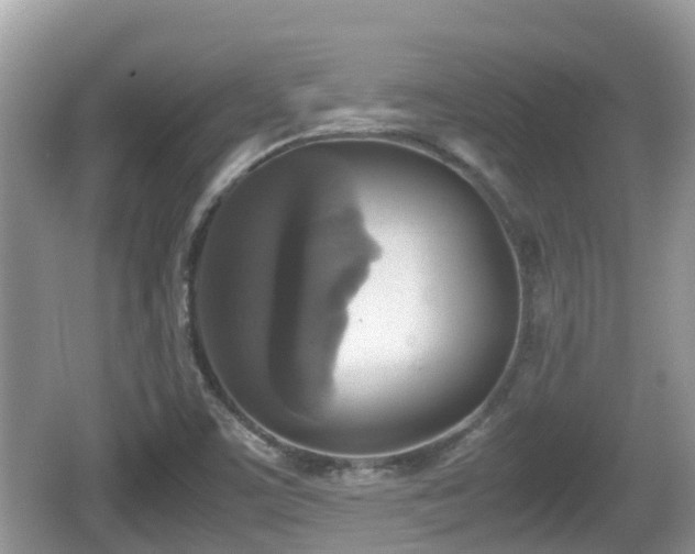 X0000062151459200512161221