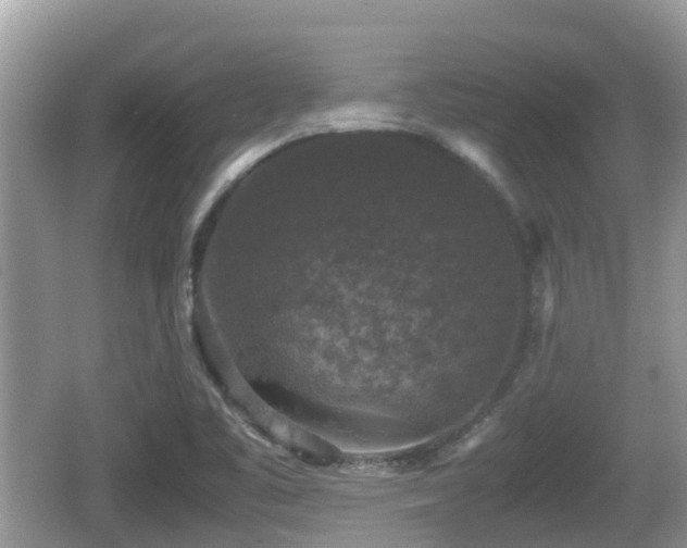 X0000062151461200512161221