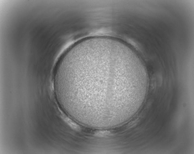 X0000062151462200512161221