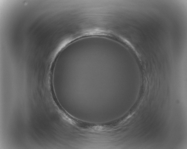 X0000062151463200512161221