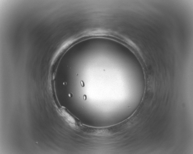 X0000062151464200512161221