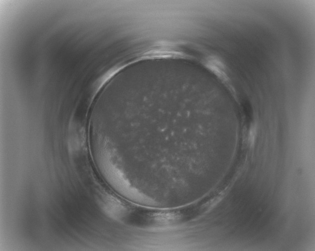 X0000062151465200512161221