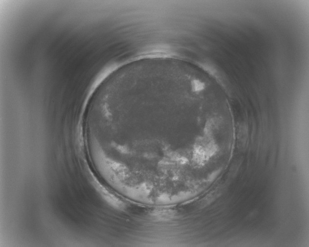 X0000062151466200512161221