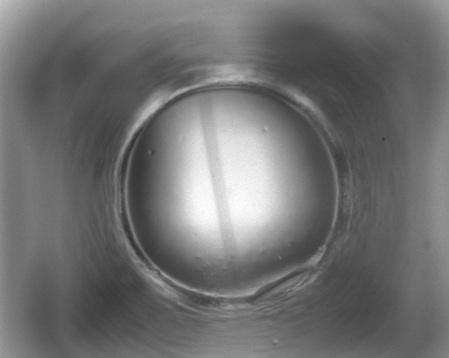 X0000062151467200512161221